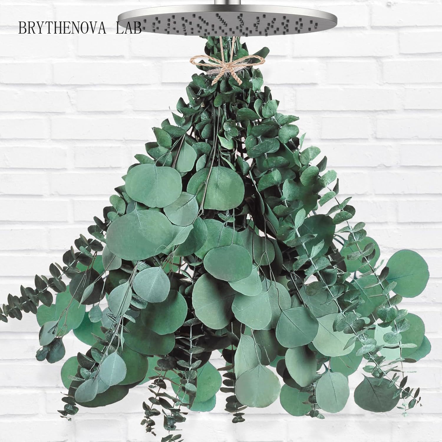 Home Decor Garland - ช่อดอกยูคาลิปตัสแห้งขนาดใหญ่ 12 ชิ้น และใบเงินดอลลาร์ สำหรับตกแต่งห้องน้ำ แขวนประดับ
