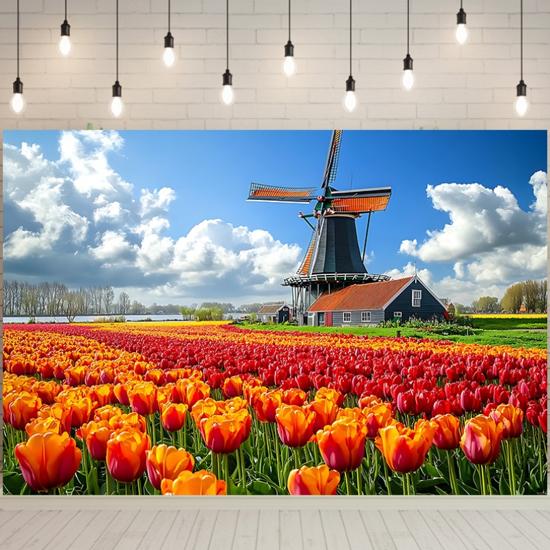 กังหันลม ทุ่งทิวลิป เนเธอร์แลน - Home Decor Netherlands บทวิจารณ์และราคา
