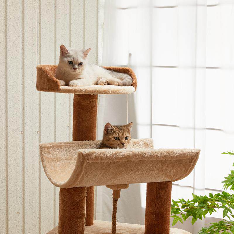 บันได เตียง ของใช้สัตว์เลี้ยง  - Home Decor Kota บทวิจารณ์และราคา