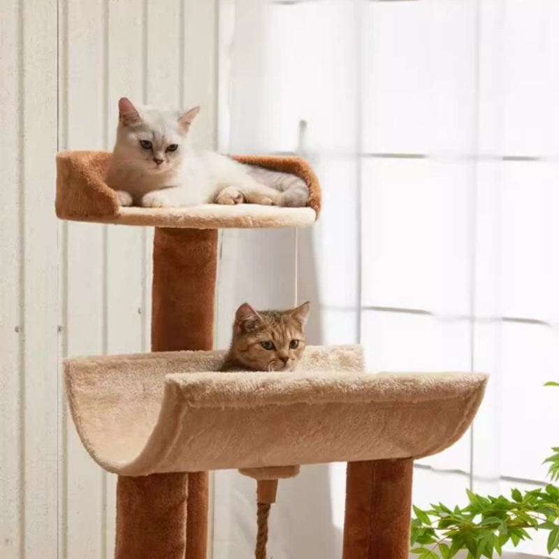 บันได เตียง ของใช้สัตว์เลี้ยง  - Home Decor Kota บทวิจารณ์และราคา